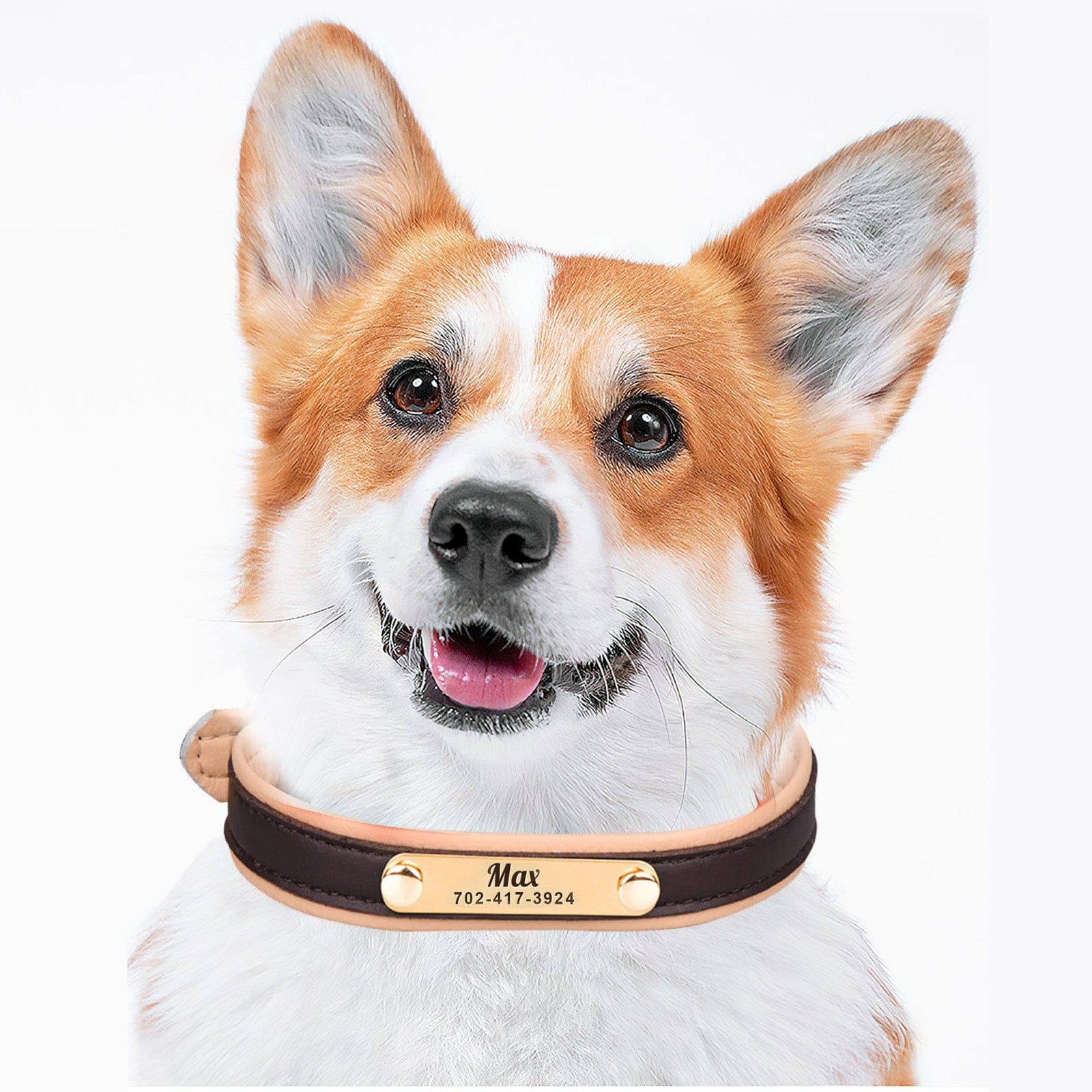 SCULPFUN Collar de Perro de Cuero Personalizado - Image 3